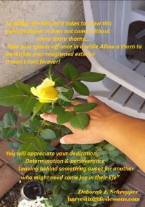 pain and joy yellow rose.pdf