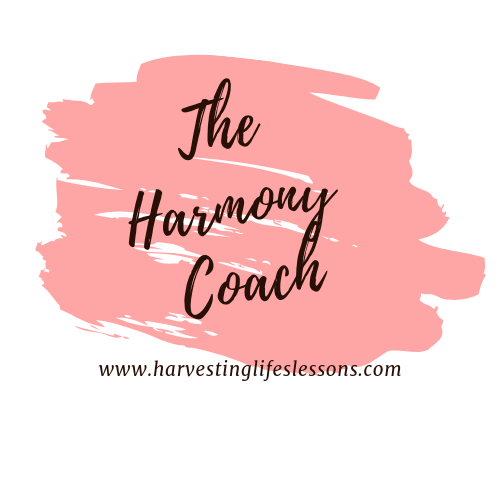 Panorama Glass Lodge: Stay in this Gorgeous Icelandic Tiny&nbsp;House