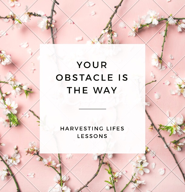 Miscalculated Mind, by Donovan Miller