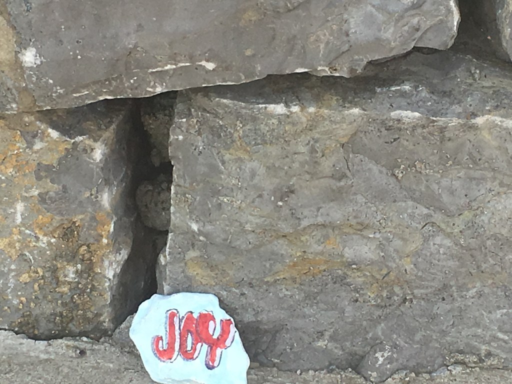 My Journey to Becoming a Certified Holistic Life&nbsp;Coach