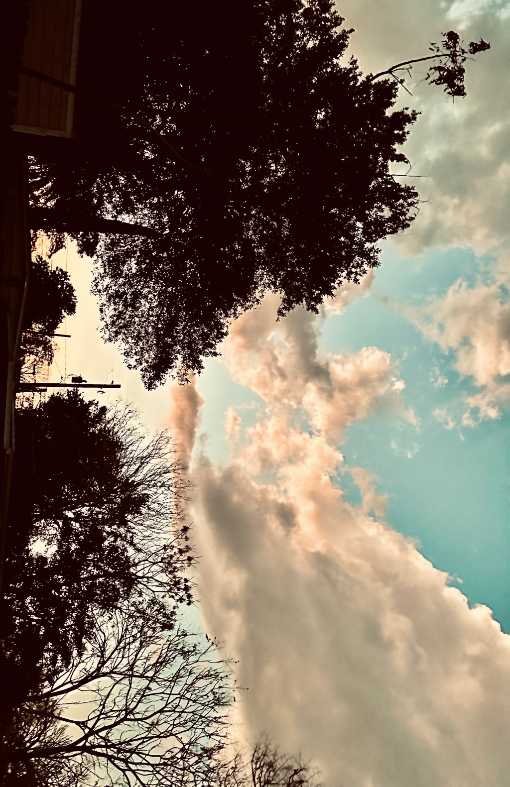 Celebrating Her Life On Her&nbsp;Birthday