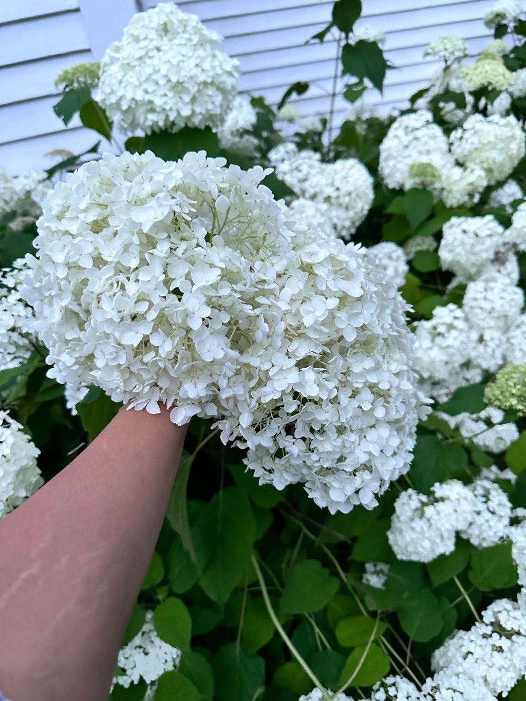 A Touch Of Her Wonderful&nbsp;Soul