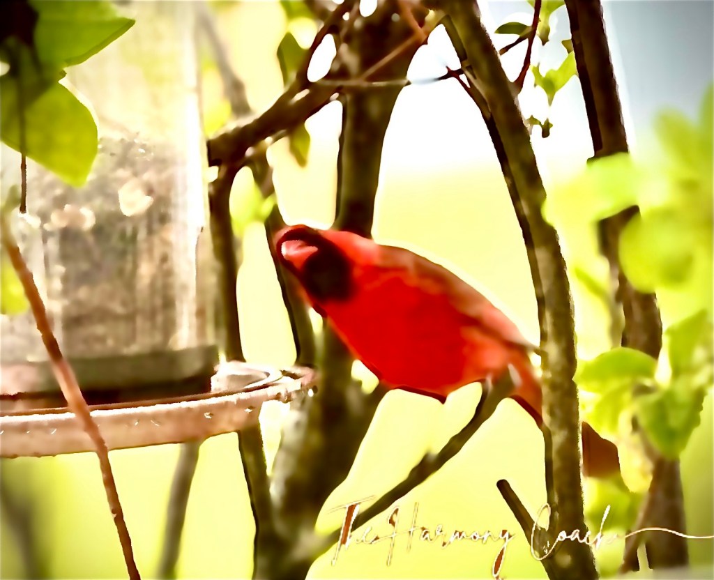 Back In The Days Of A Generation X’er “The Good Old&nbsp;Days”